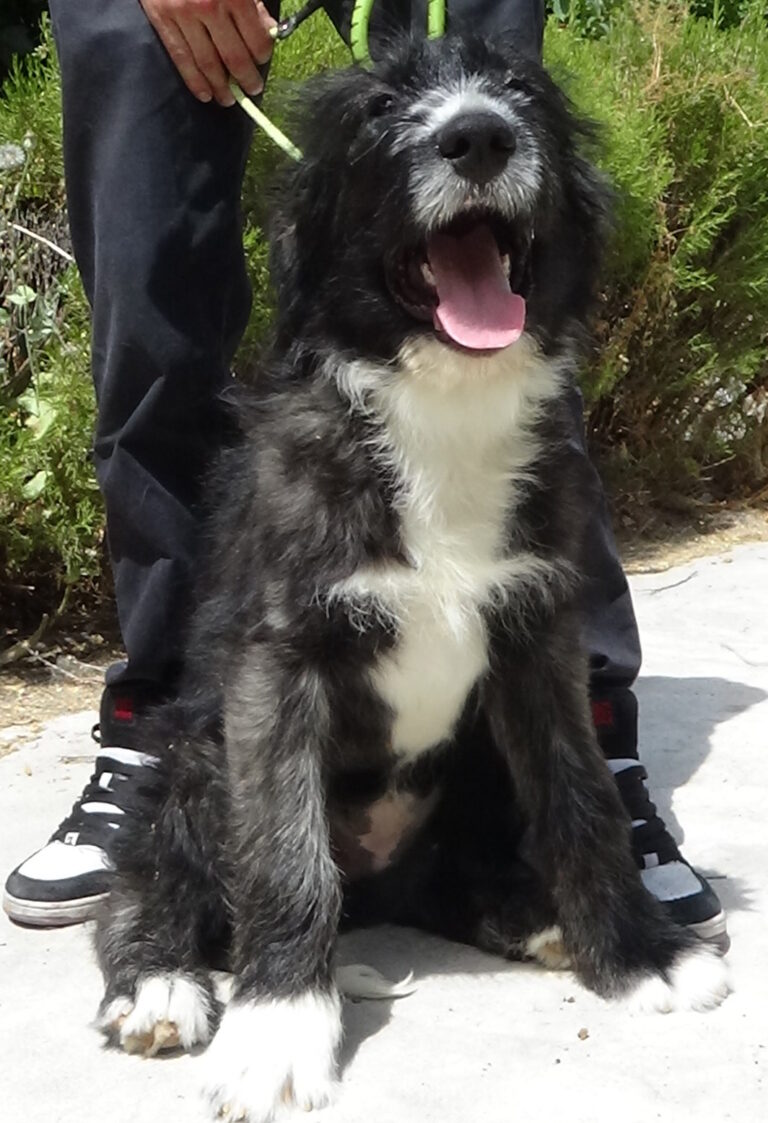 multimedia-foto37949-16-3