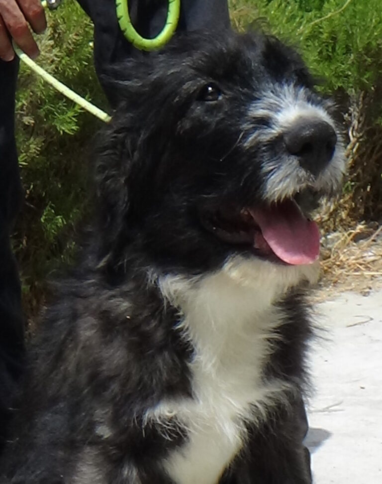 multimedia-foto37950-212-3