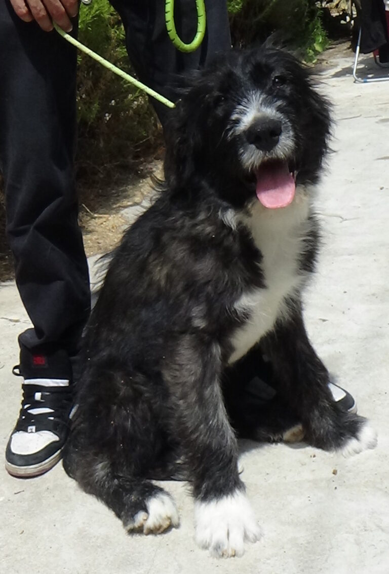 multimedia-foto37951-388-3