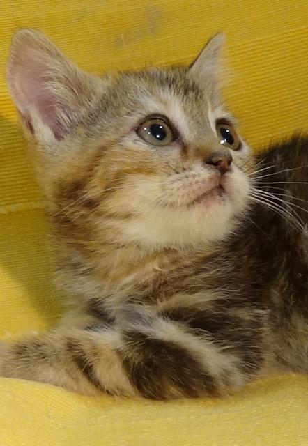 multimedia-foto37955-816-3