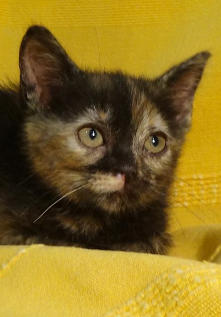 multimedia-foto37985-399-3