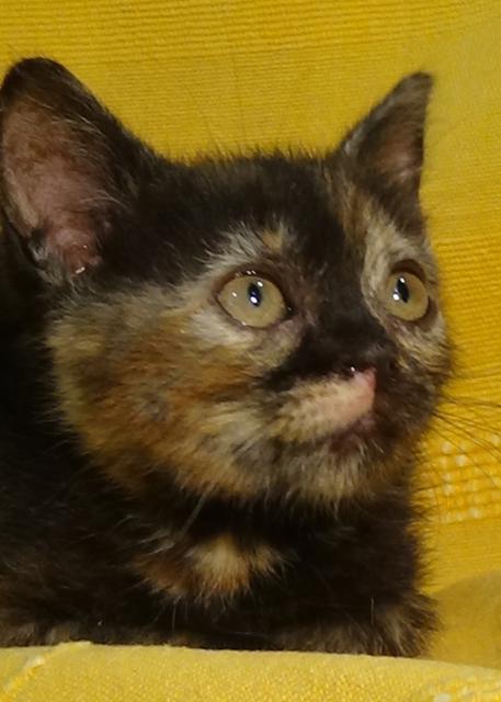 multimedia-foto37987-842-3