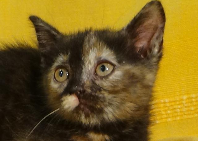 multimedia-foto37988-46-3