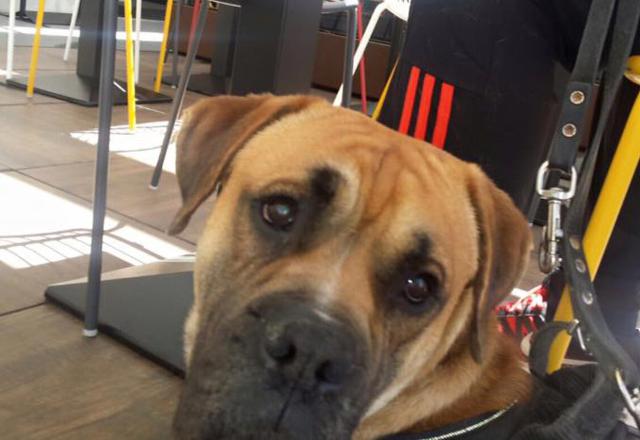 multimedia-foto37995-409-3