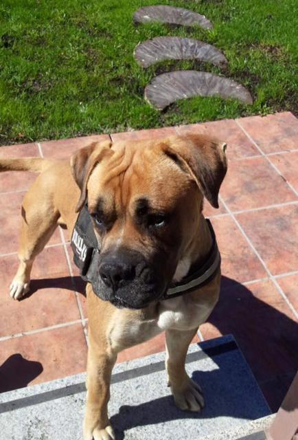 multimedia-foto37996-634-3