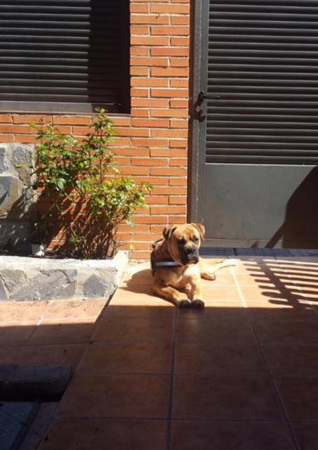 multimedia-foto37999-248-3