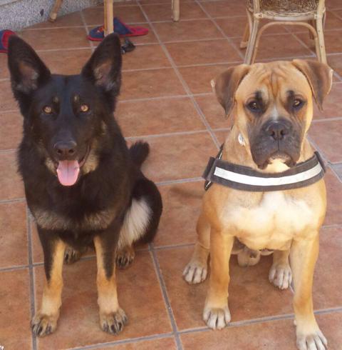 multimedia-foto38000-420-3