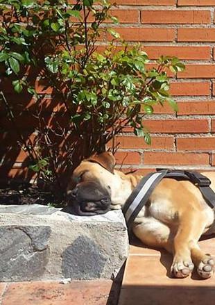 multimedia-foto38001-574-3