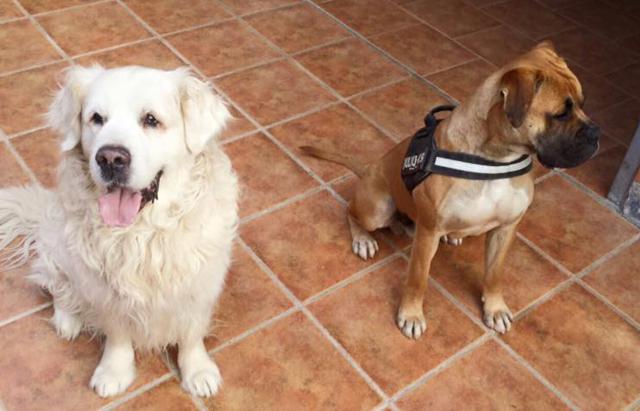 multimedia-foto38002-704-3