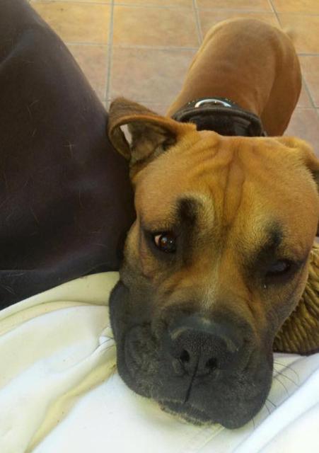 multimedia-foto38003-816-3