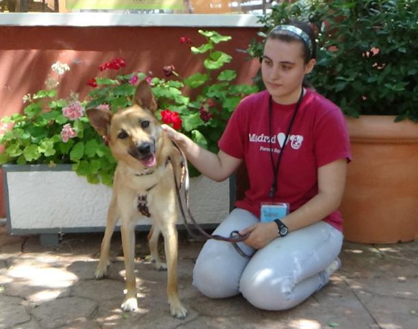 multimedia-foto38025-434-3