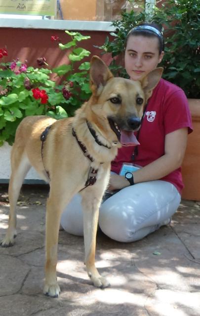 multimedia-foto38027-717-3