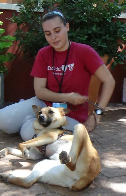 multimedia-foto38028-826-3