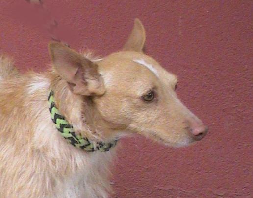 multimedia-foto38030-436-3