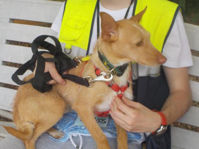 multimedia-foto38031-660-3