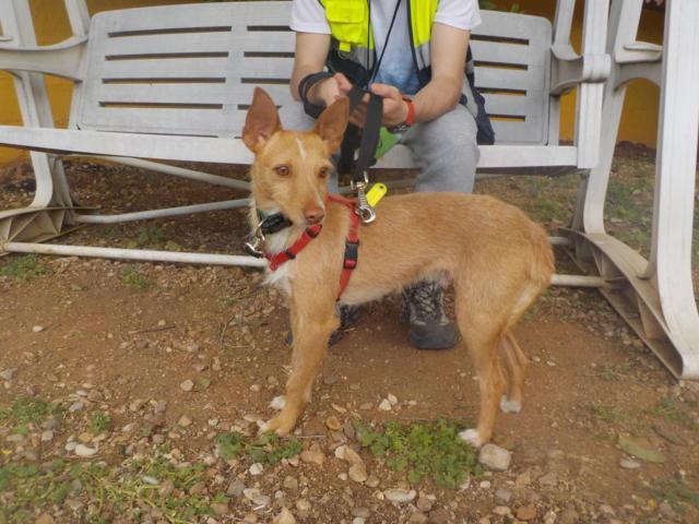 multimedia-foto38032-875-3