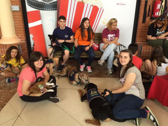 multimedia-foto38034-270-3