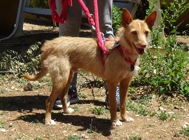 multimedia-foto38035-439-3