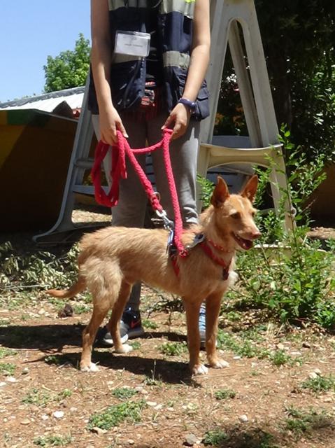 multimedia-foto38036-592-3