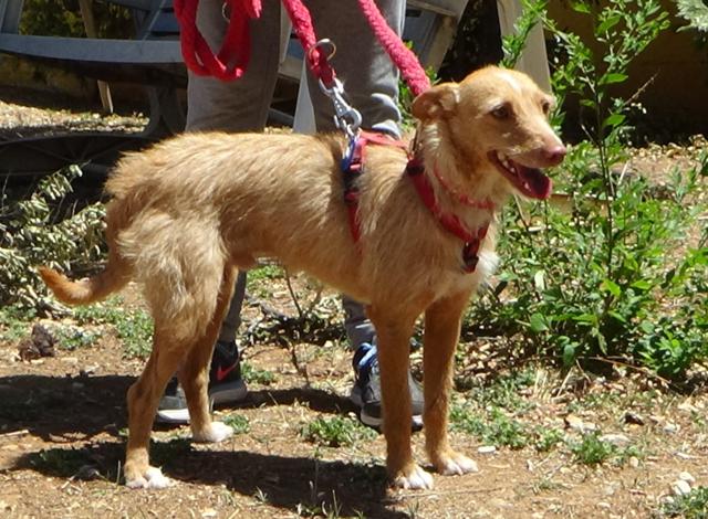 multimedia-foto38037-720-3