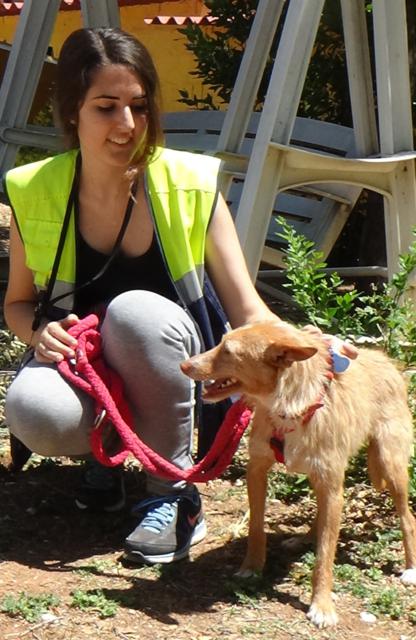 multimedia-foto38038-829-3