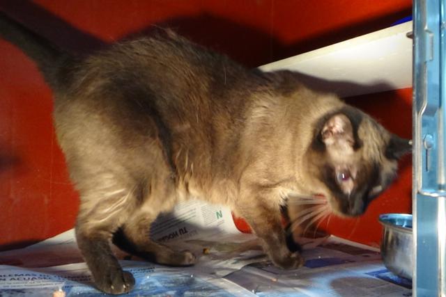 multimedia-foto38101-497-3