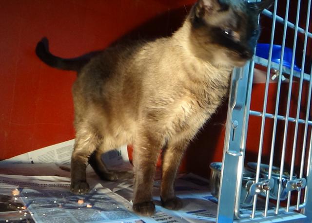 multimedia-foto38102-719-3