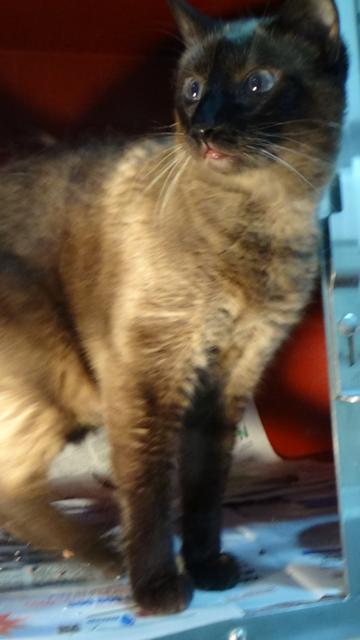 multimedia-foto38103-934-3