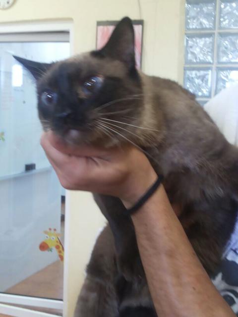 multimedia-foto38104-131-3