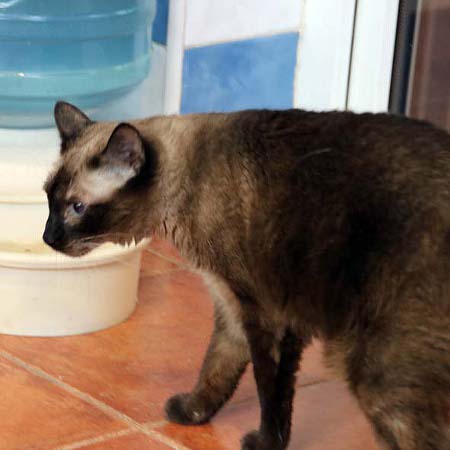 multimedia-foto38106-485-3