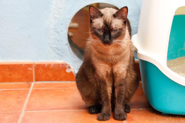 multimedia-foto38107-631-3