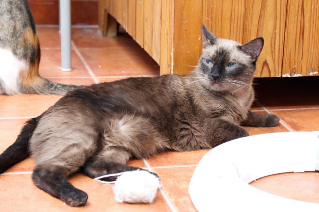 multimedia-foto38109-857-3