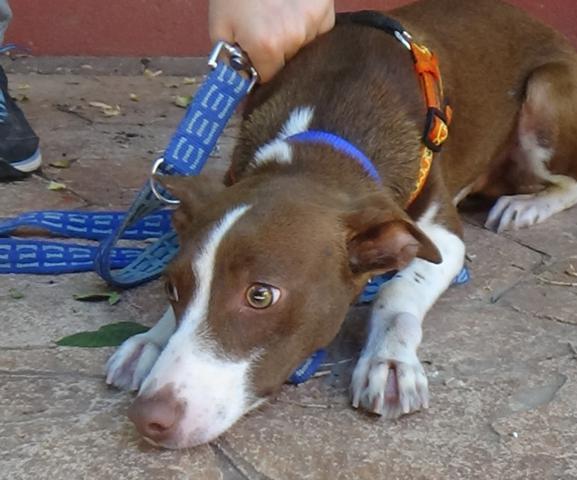 multimedia-foto38112-509-3