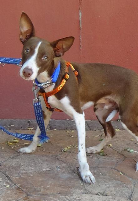 multimedia-foto38113-727-3