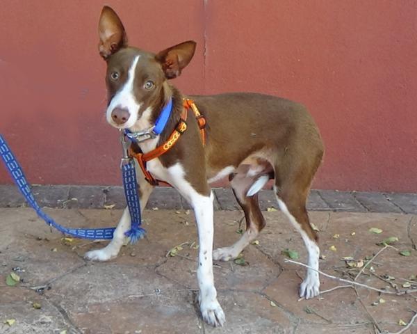 multimedia-foto38114-940-3