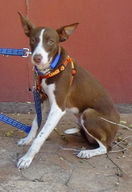 multimedia-foto38115-138-3