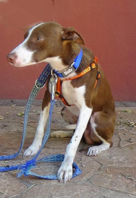 multimedia-foto38116-323-3