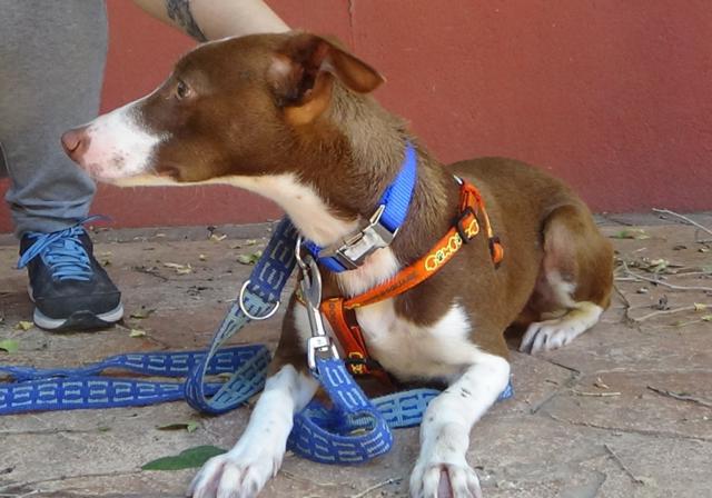 multimedia-foto38117-491-3