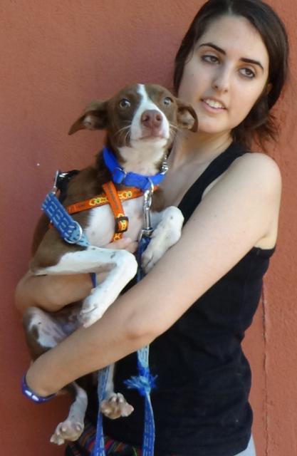 multimedia-foto38118-636-3