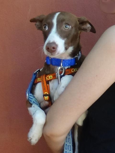 multimedia-foto38119-759-3