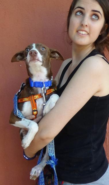 multimedia-foto38120-860-3