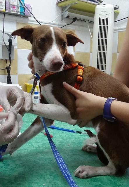 multimedia-foto38122-963-3