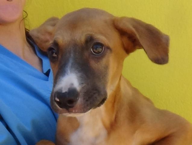 multimedia-foto38131-526-3