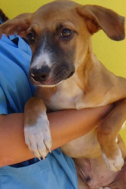 multimedia-foto38132-747-3