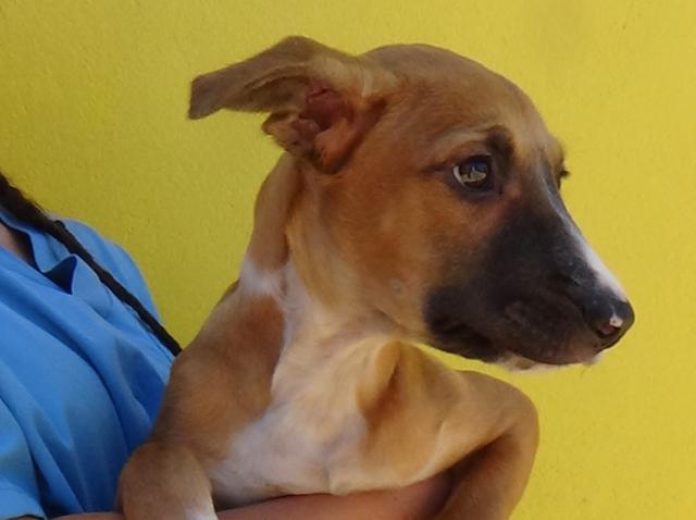 multimedia-foto38133-959-3