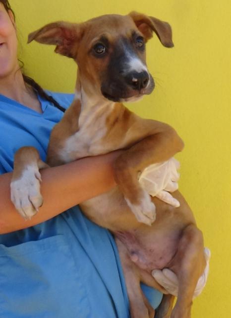 multimedia-foto38135-339-3