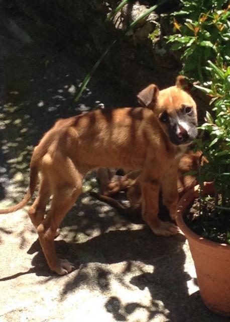 multimedia-foto38136-505-3