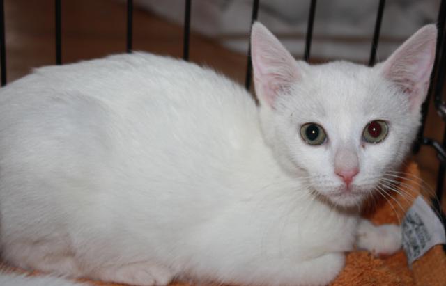 multimedia-foto38141-753-3