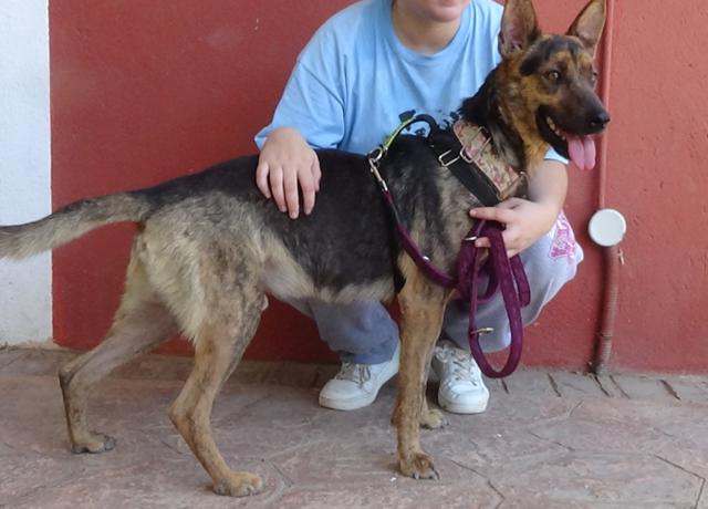 multimedia-foto38144-310-3