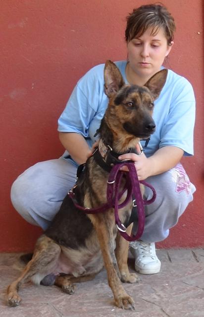 multimedia-foto38145-536-3